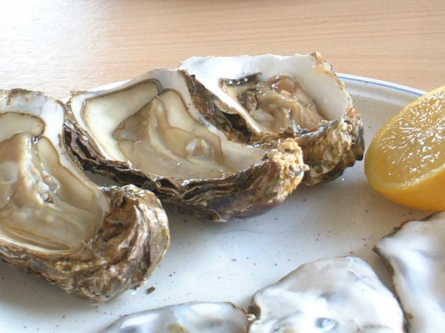 Oyster Shucking Boards - Kitchen Consumer - eGullet Forums