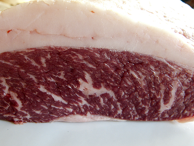 jersey wagyu cross