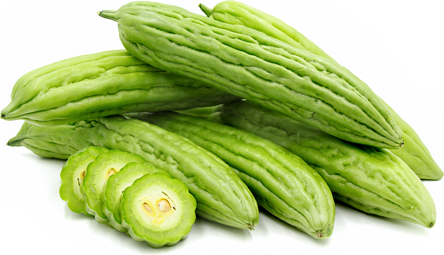 Bitter Melon Information and Facts