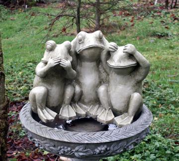 froggery.jpg