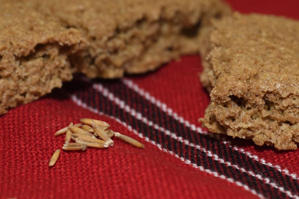 210905 Kernza shortbreads  DEB_0647 copy