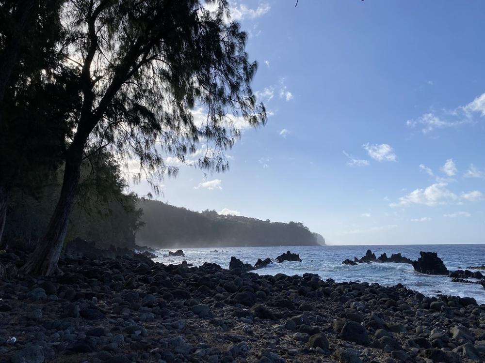 Laupahoehoe Point