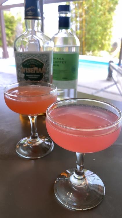 Gin & whiskey lime sours with Morgenthaler's rhubarb syrup