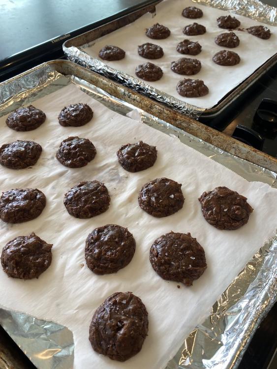 Tiny, salty, chocolatey cookies (Alison Roman)