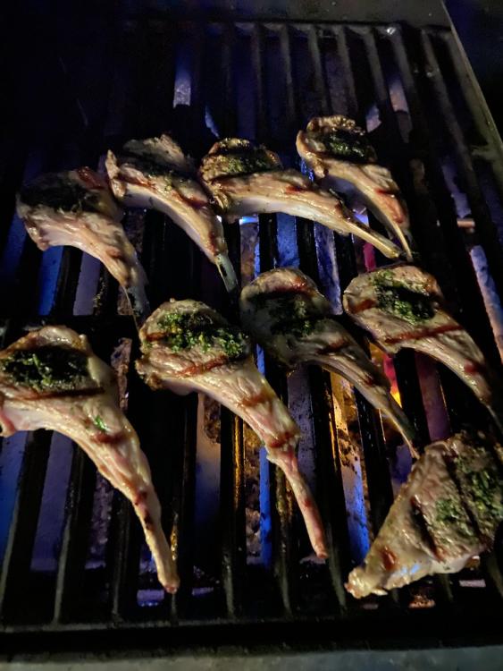 Grilled lamb chops scottadito