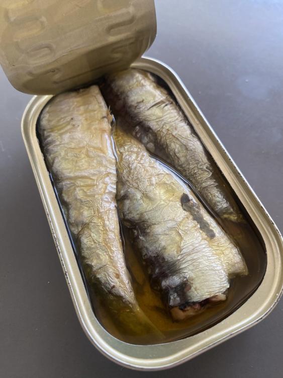 Sardines Belle-Iloise