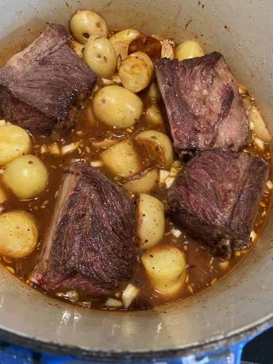 Spiced, braised short ribs with creamy potatoes from nothing fancy (Alison Roman)