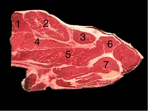 Beef Chuck 7-Bone Steak