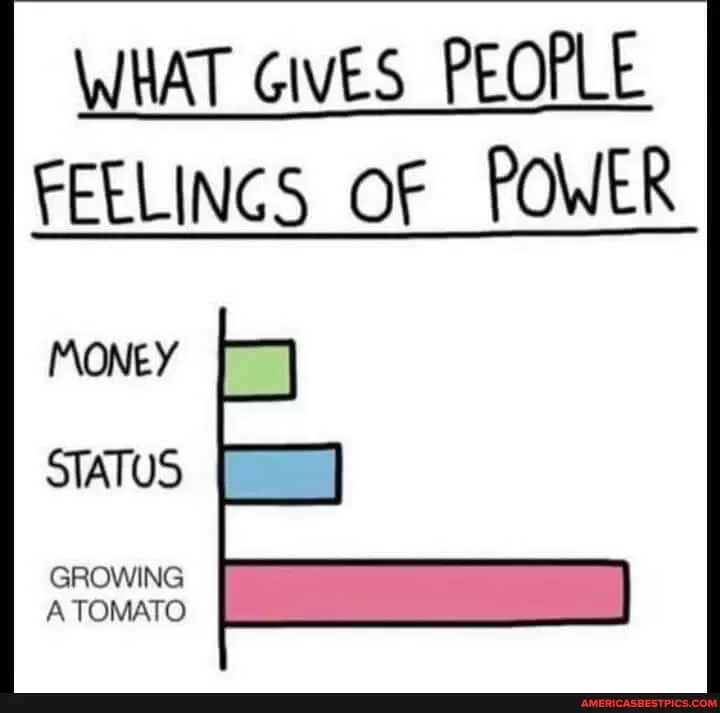 WHAT GIVES PEOPLE FEELINGS OF POWER MONEY STATUS GROWING A TOMATO