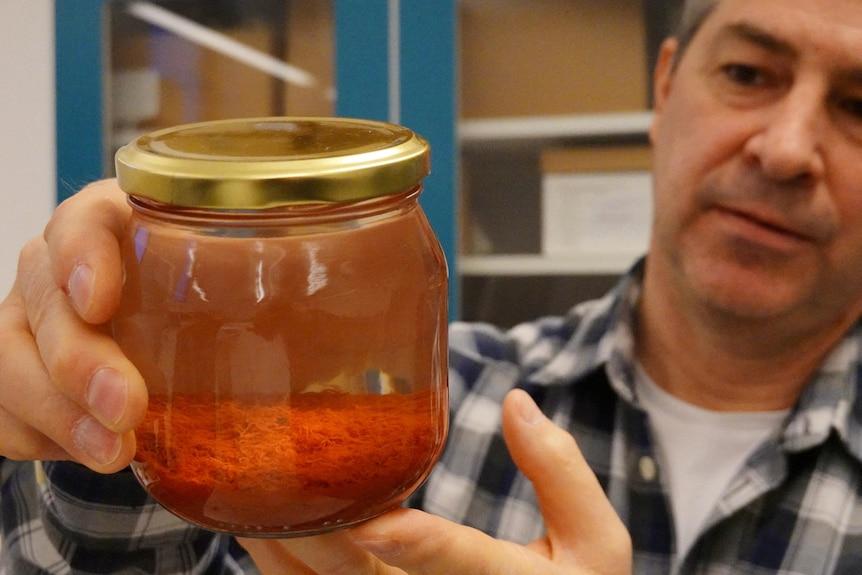 Man indoor holds jar with liquid containing orange substance at bottom