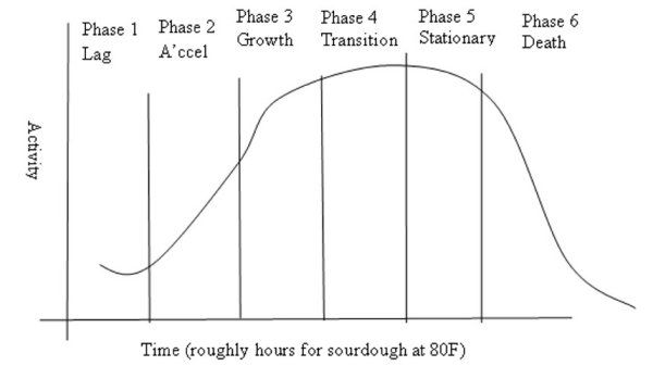 Graph2.jpg