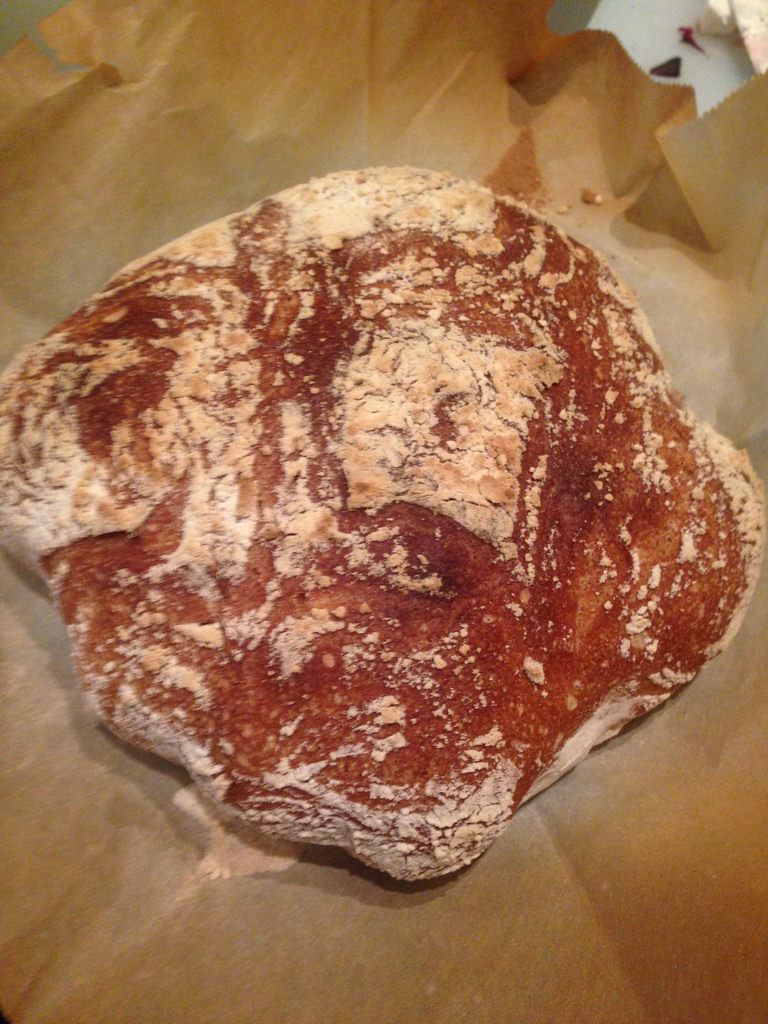 No knead bread: while + whole wheat flour