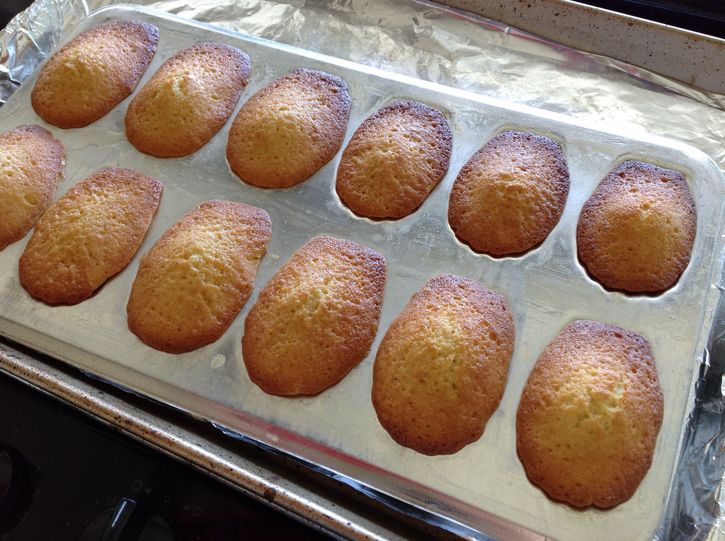 Madeleines