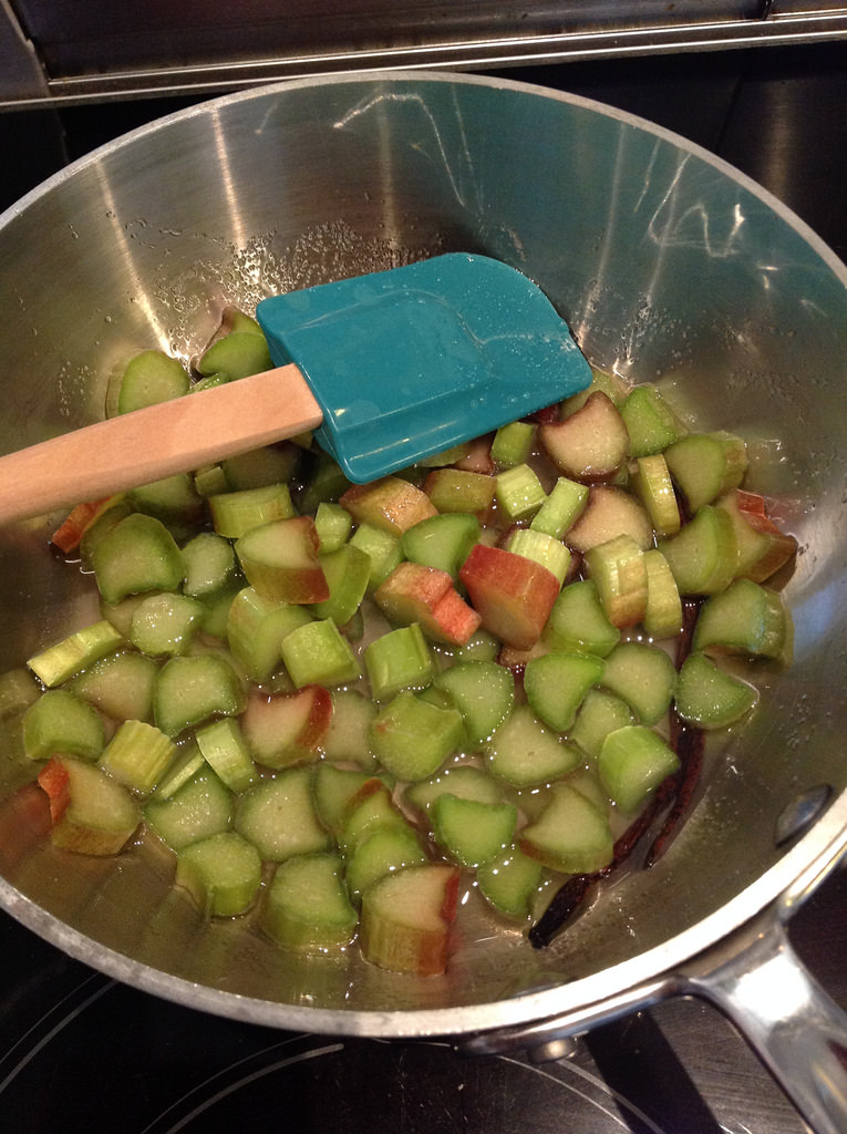 Rhubarb and vanilla freezer puree