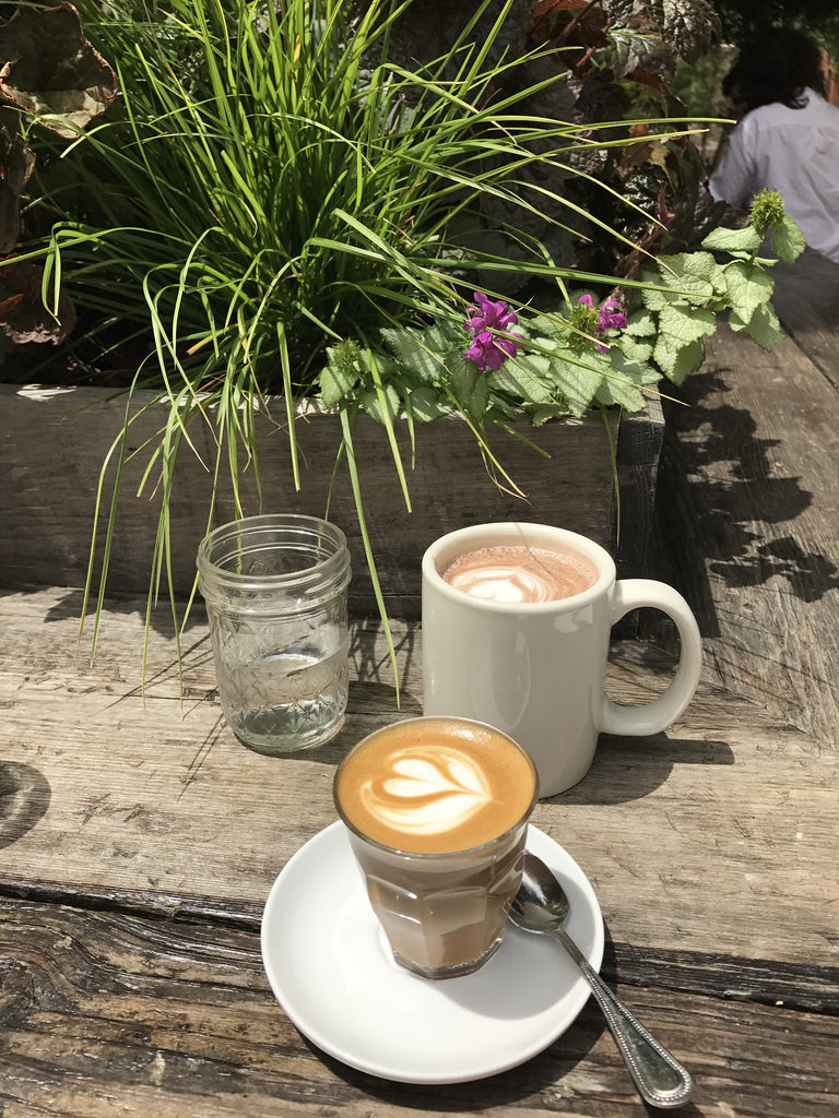 Plein Air Cafe, lavender tea cake, chocolate madeleines, cortado and hot chocolate (Hyde Park in Chicago)