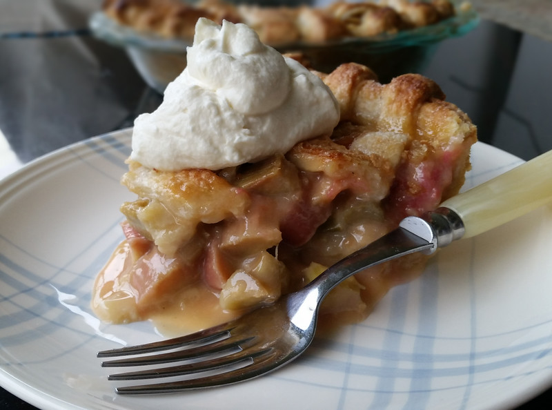 Rhubarb%20Pie%20May%2019th%2C%202016%201