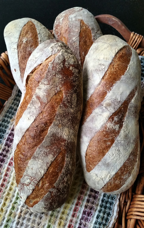 Sourdough%20Rye%20June%2023rd%2C%202014-