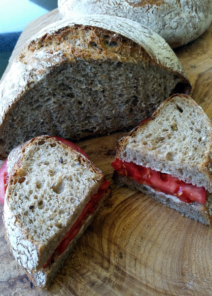 Whole%20Wheat%20Tomato%20Sandwich%20Sept