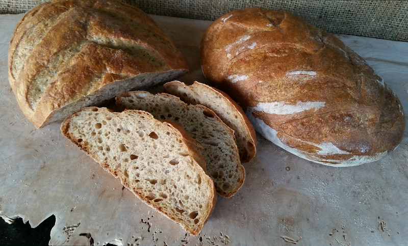 Sourdough%20Rye%20August%2026th%2C%20201