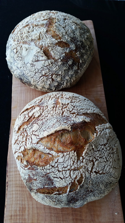 Sourdough%20May%2019th%2C%202015-XL.jpg