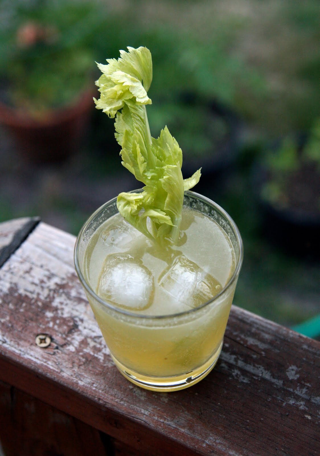 celery%2Bjulep.jpg