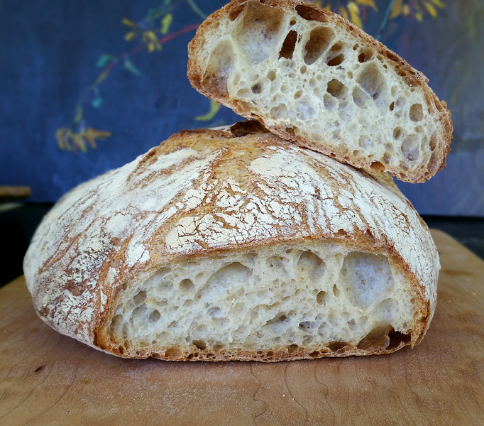 Sourdough%20red%20fife%20wheat%20July%20