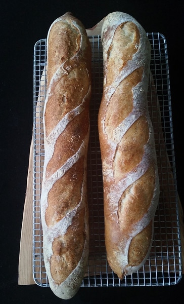 Baguettes%20July%2015th%2C%202015%201-L.