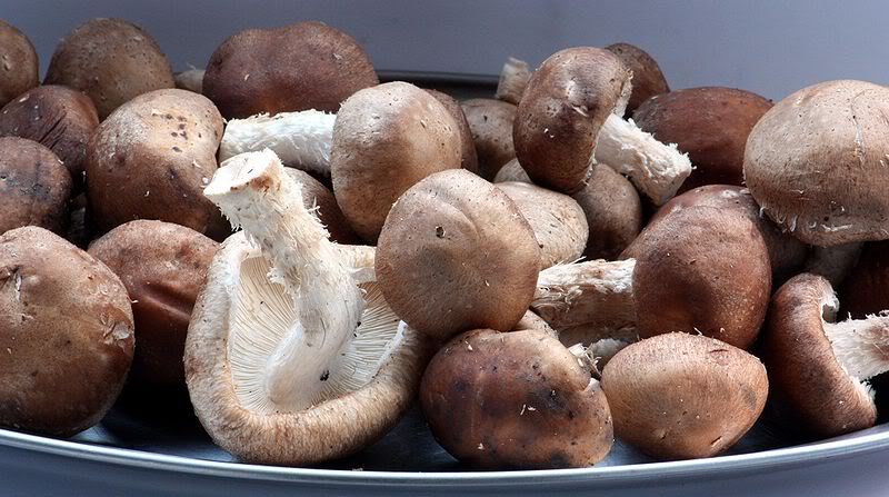 800px-Fresh_shiitake_mushrooms.jpg