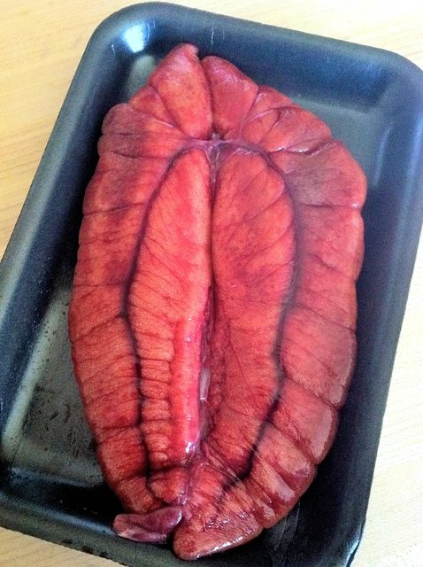 Shad Roe - Cooking - eGullet Forums