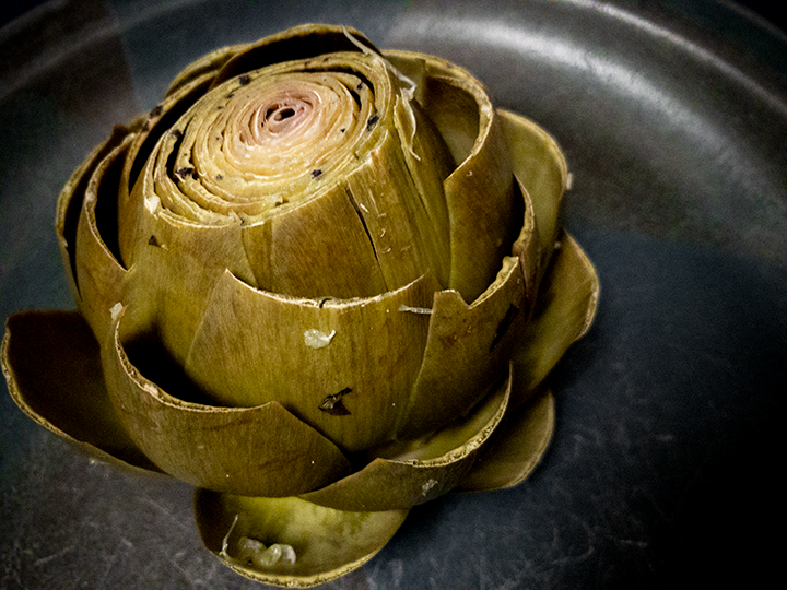 Artichoke02152020.png