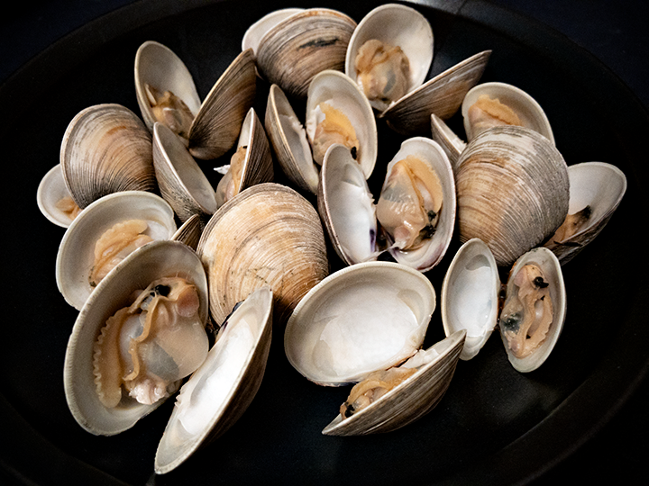 Clams01042019.png