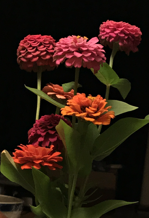 Flowers08302019.png