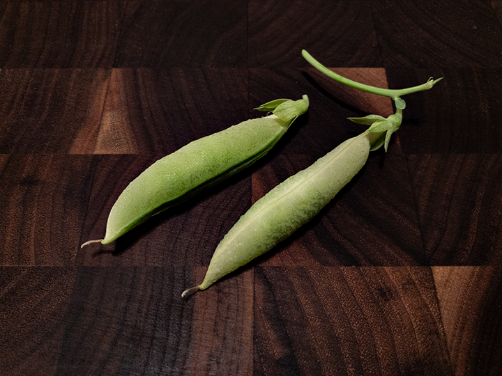 Peas02252019.png