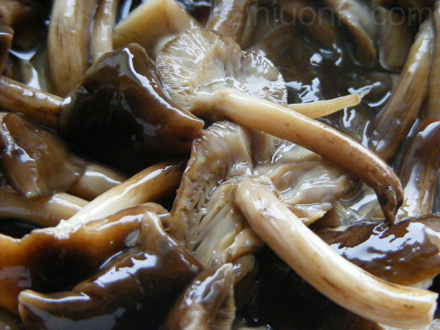armillaria-mellea-mushrooms-marinated-2.