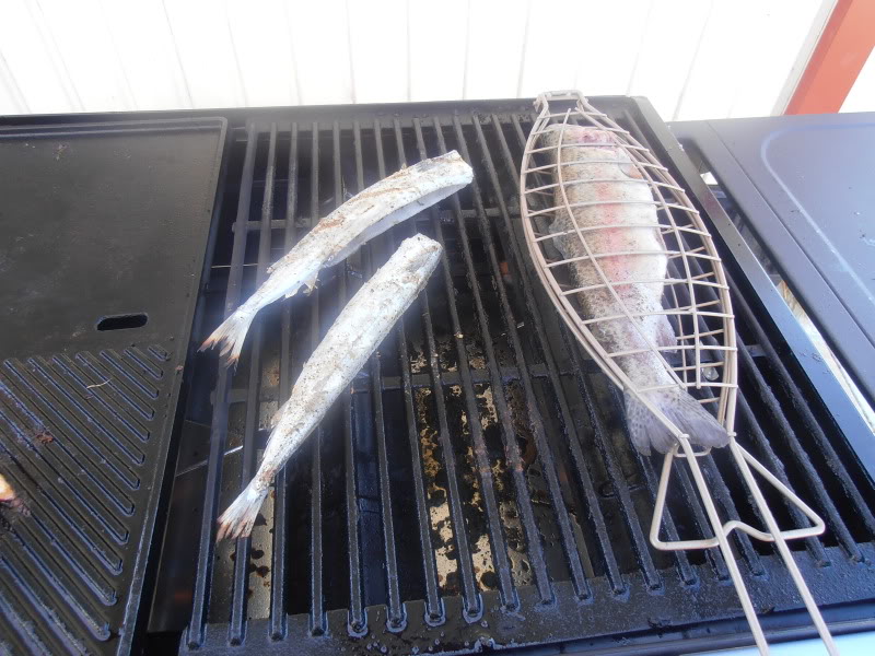 bbqfish1.jpg