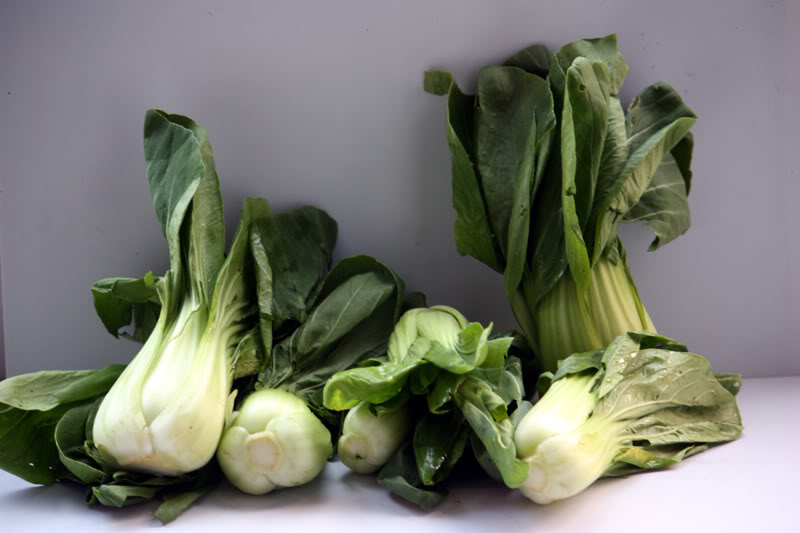 bokchoy.jpg