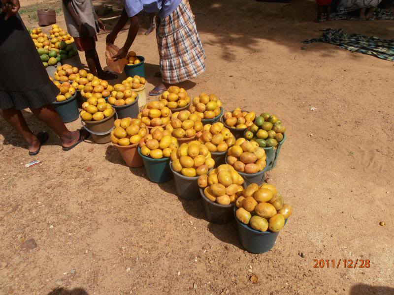 fruitstall4.jpg