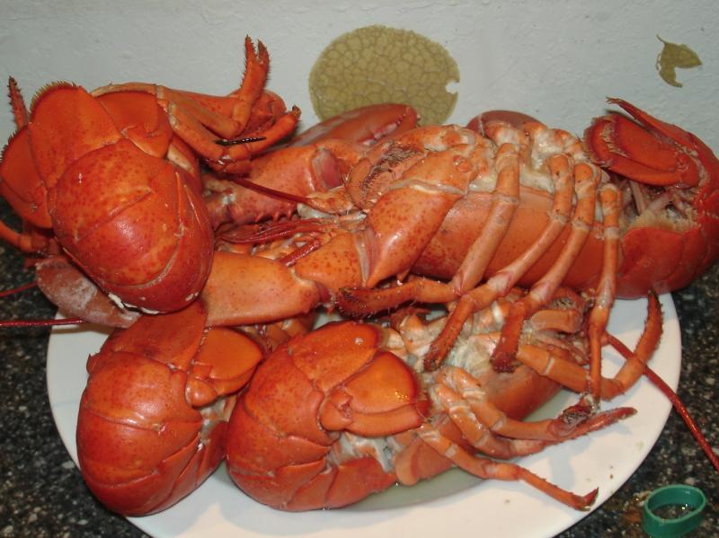 Lobster 010.JPG
