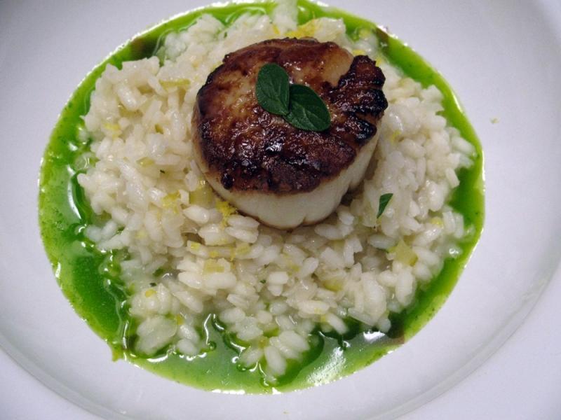 Scallop-Lemon Risotto-Parsley Oil .jpg