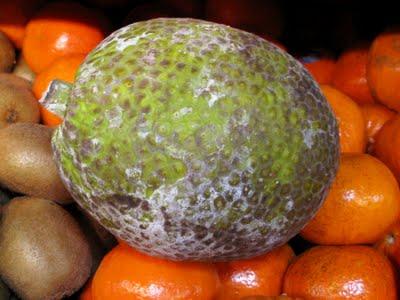 breadfruit.jpg