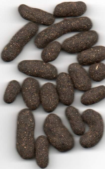 Indian pellets.jpg