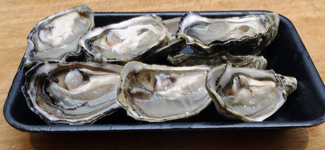 shucked oysters.jpg