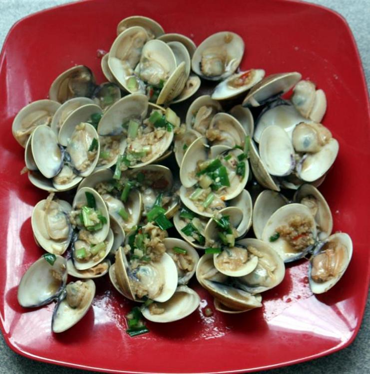 clams4 (Large).jpg