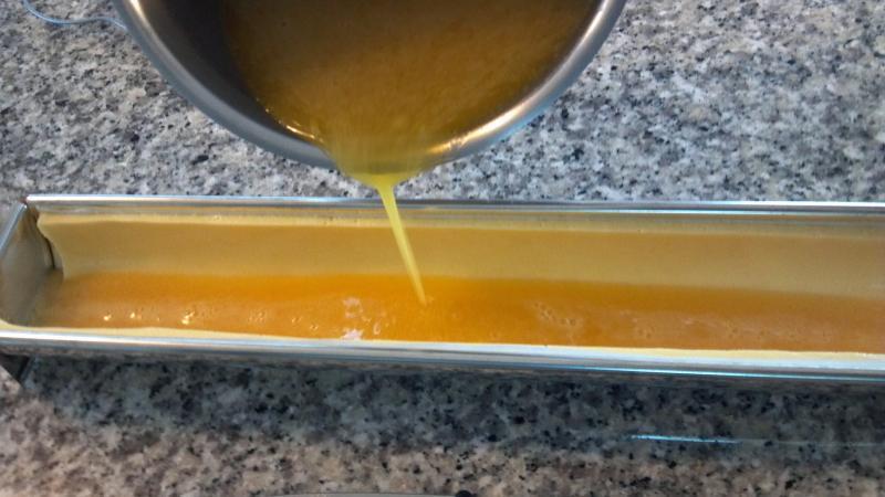 Orange Agar Slices (3).jpg