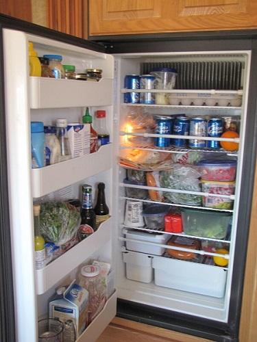 Starting out - refrigerator 500.jpg