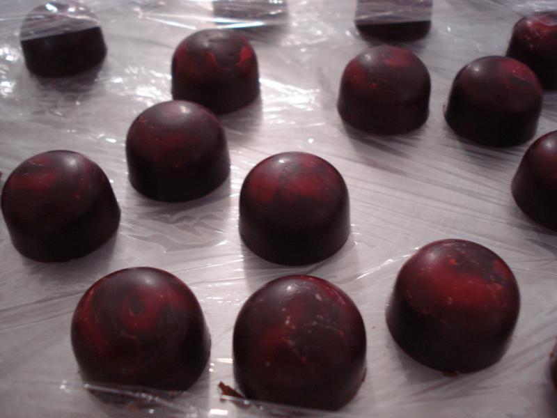 1st Molded Chocolate with Colored Cocoa Butter.JPG