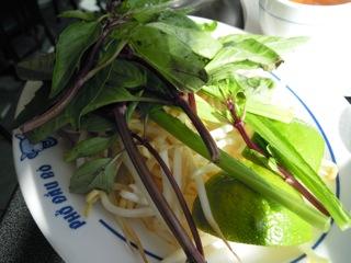 herbs and bean sprouts.jpg