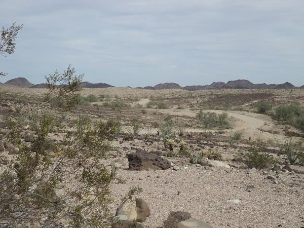 View into the next wadi.jpg