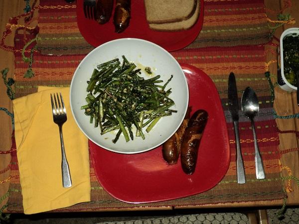 Dogs asparagus sauce dinner.jpg