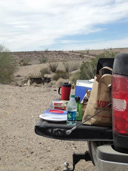 Tailgate picnic view 1.jpg